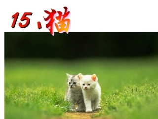 15.《猫》