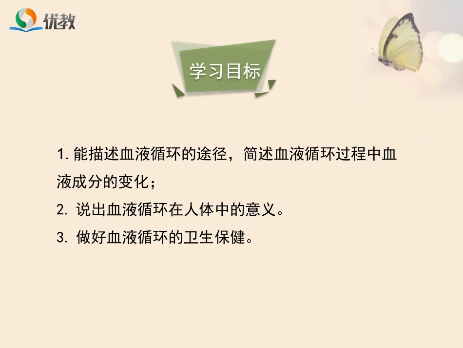 第三节物质运输的路线_第3页