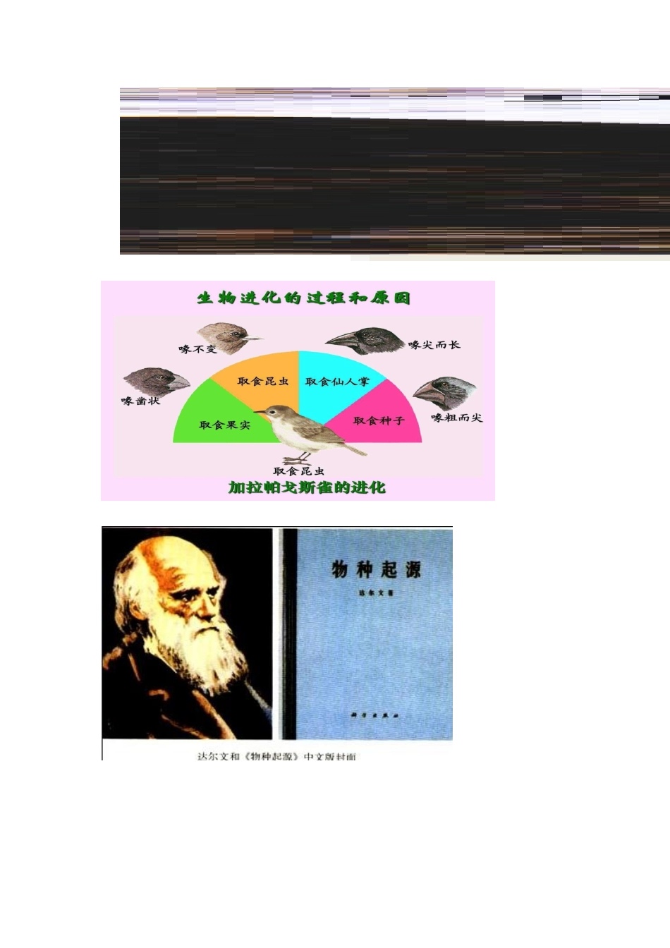 第20课破解生命起源谜团的进化论_第3页