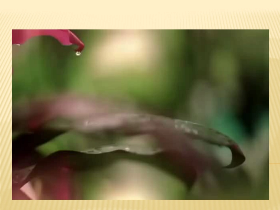 植物发生了什么变化_第3页