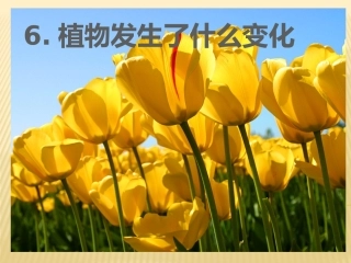 植物发生了什么变化