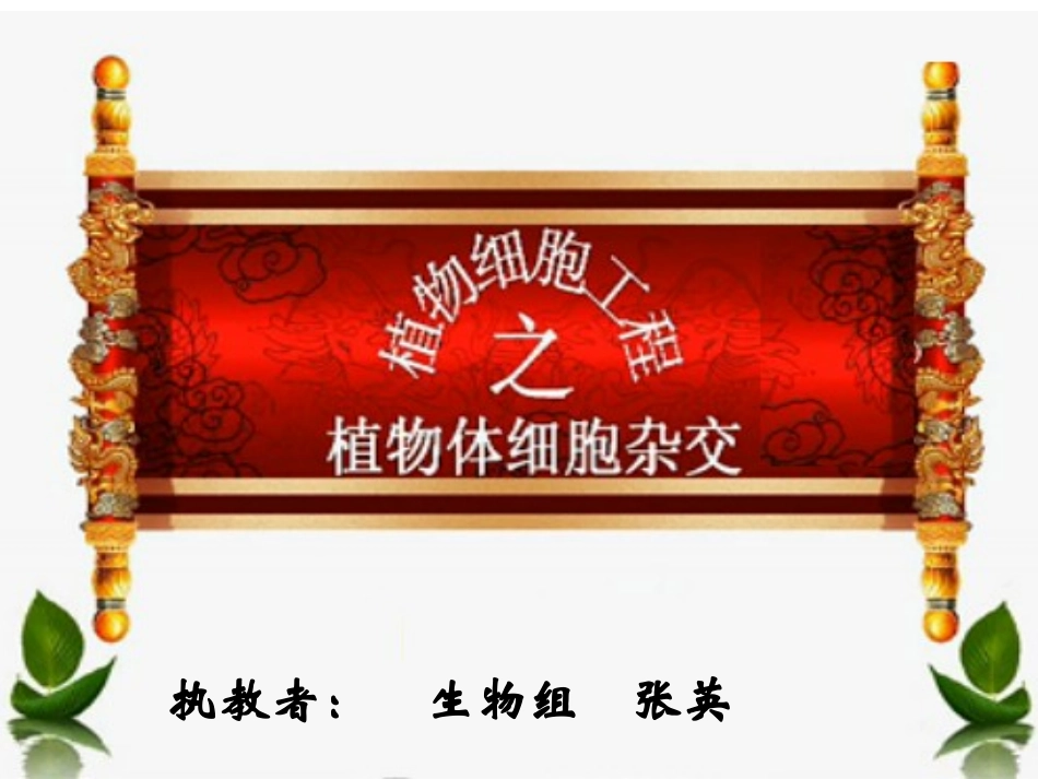 细胞工程的基本技术_第1页