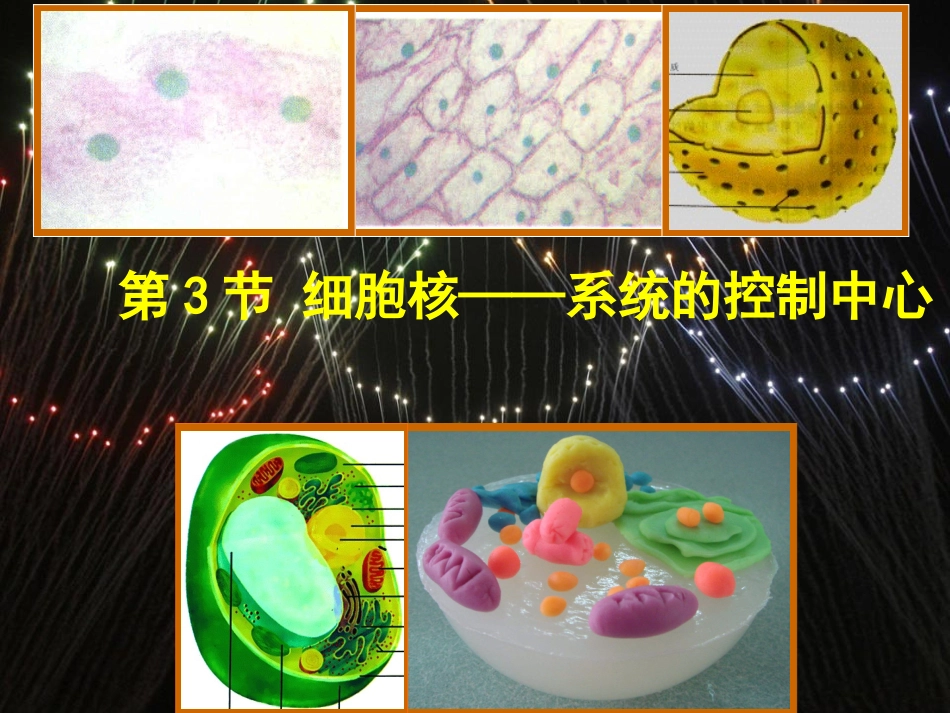 人教版必修1第三章第3节细胞核——系统的控制中心(共36张PPT)_第1页
