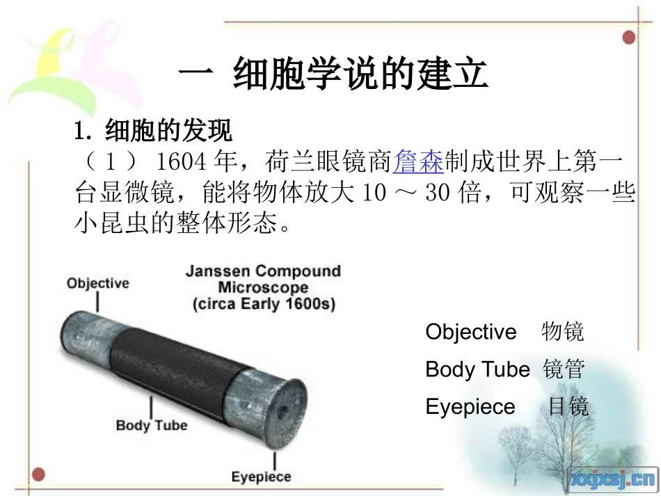 一细胞学说的建立_第2页