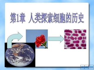 一细胞学说的建立