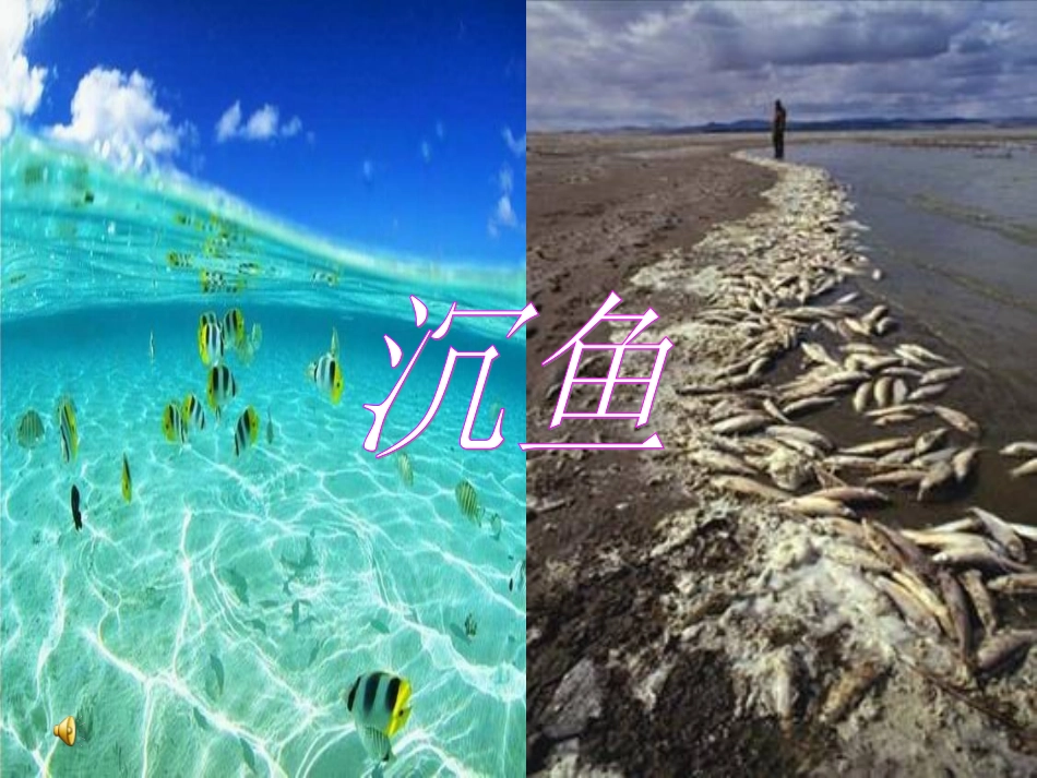 第二节-资源综合利用-环境保护_第2页