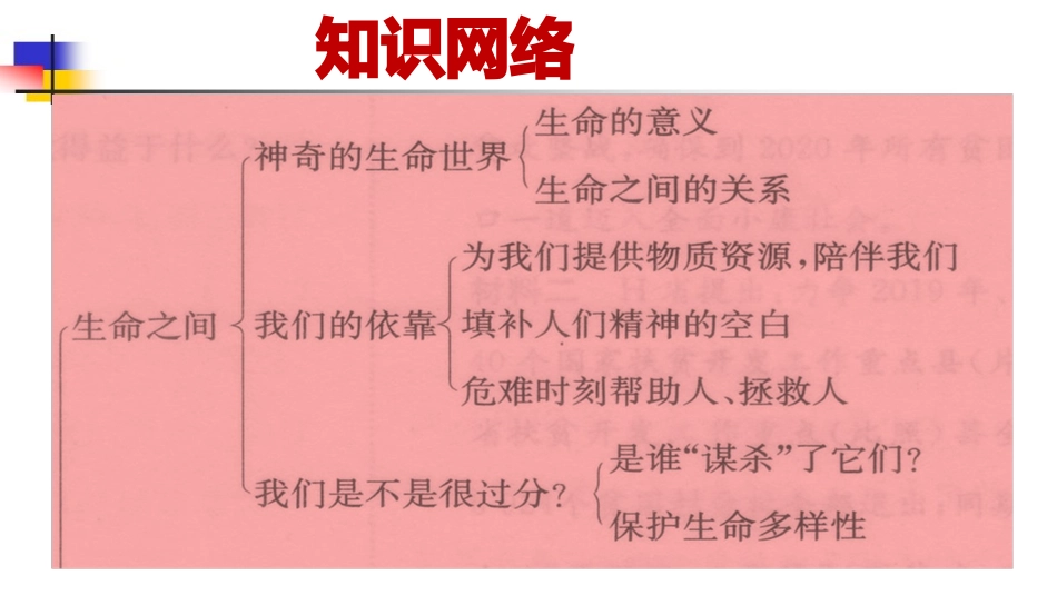 第七课生命之间_第3页