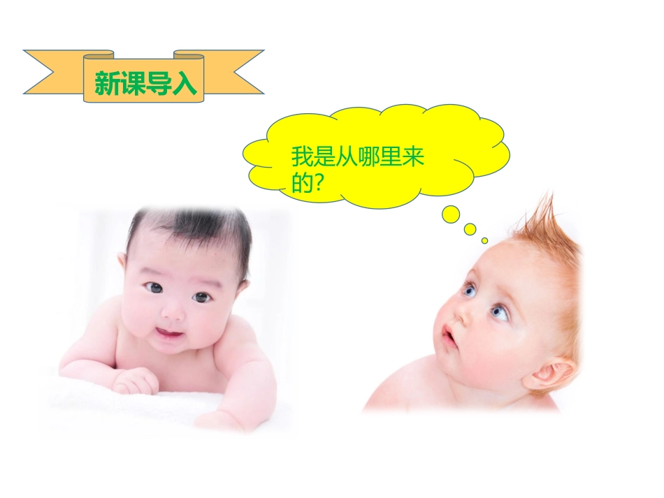 第三节人的生殖和胚胎发育_第2页