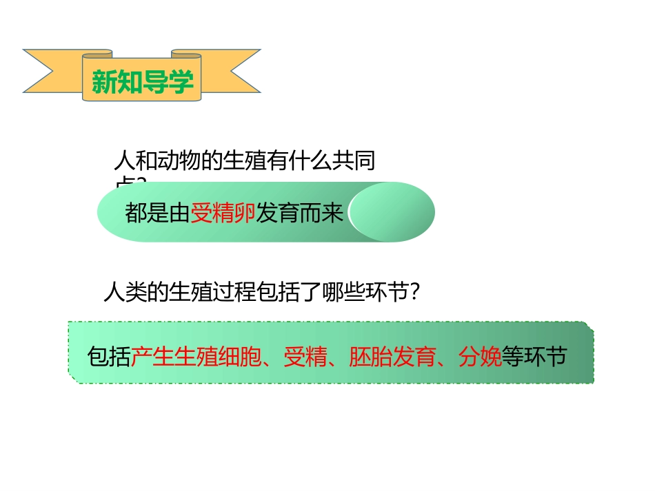 第三节人的生殖和胚胎发育_第3页