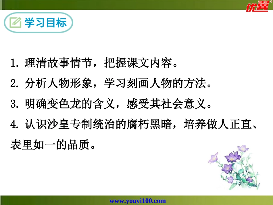 6变色龙-(2)_第2页