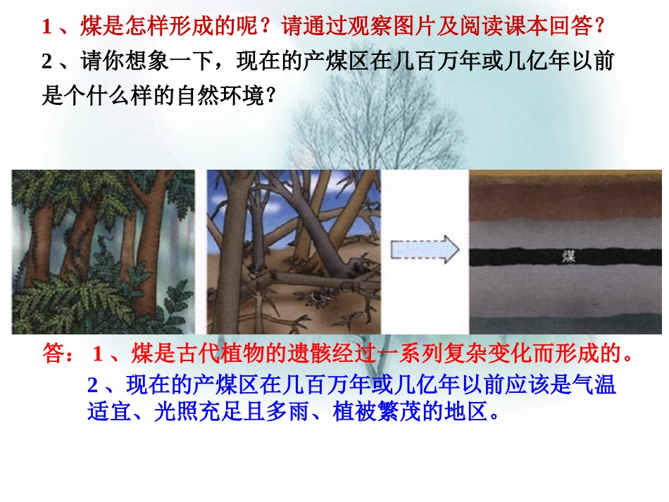 5.4古生物的“遗产”——化石燃料_第2页