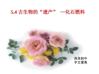5.4古生物的“遗产”——化石燃料