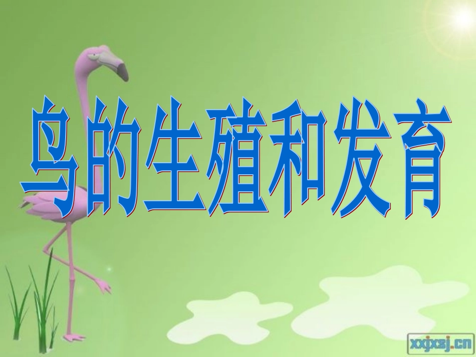 第三节鸟的生殖和发育_第1页