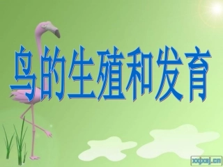 第三节鸟的生殖和发育