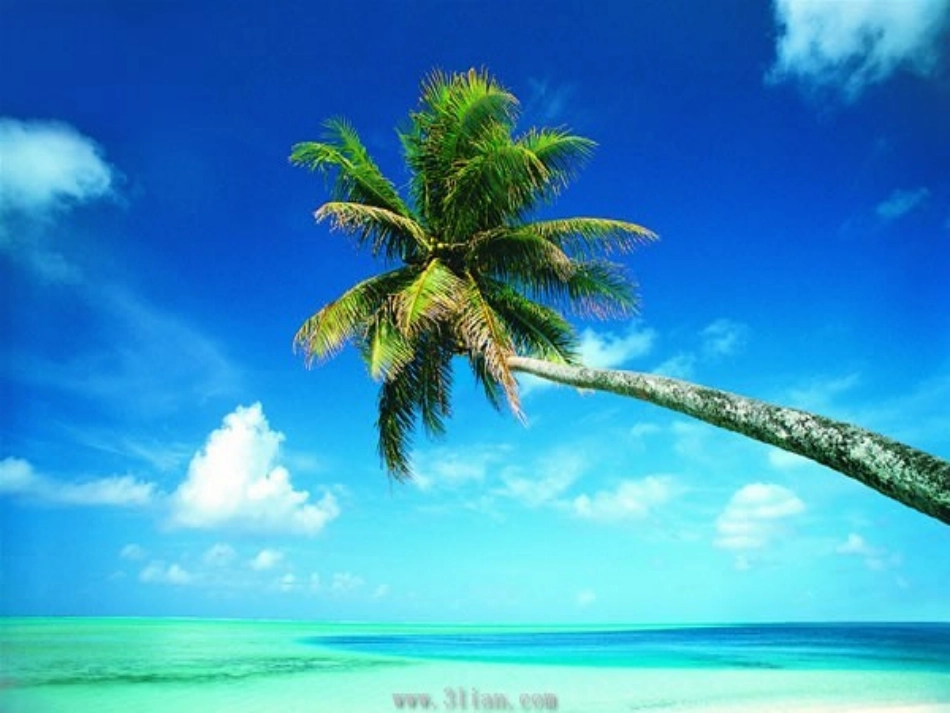 13海水为什么是蓝的_第1页