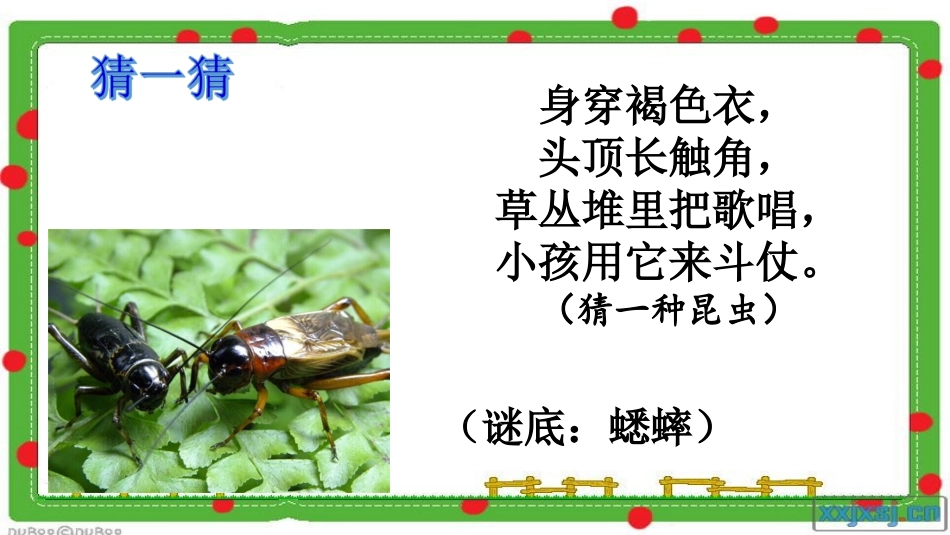 10在牛肚子里旅行_第2页