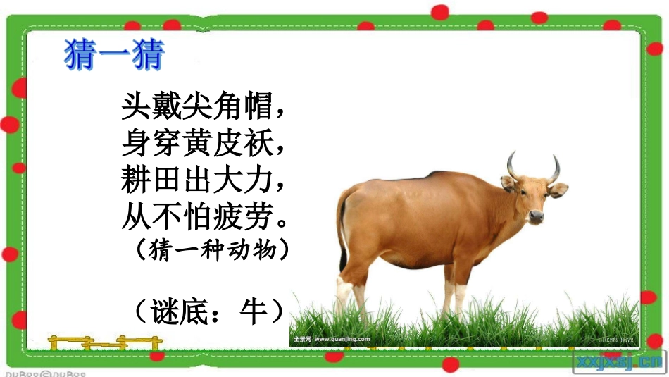 10在牛肚子里旅行_第3页