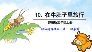 10在牛肚子里旅行