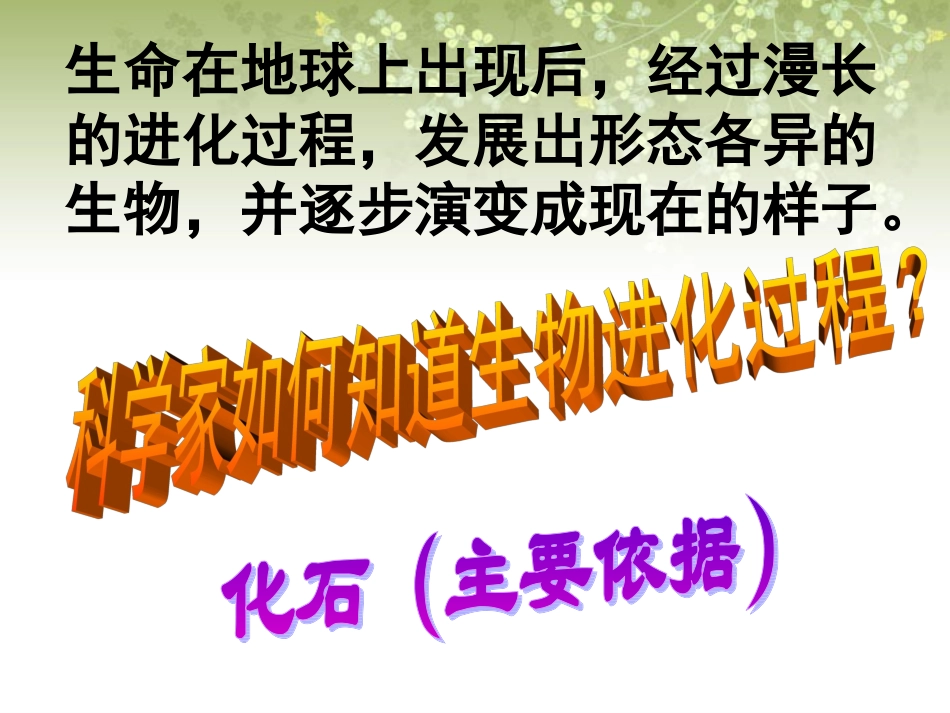 11寻找进化的证据_第2页