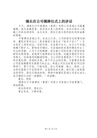 镇长在公司揭牌仪式上的讲话发言