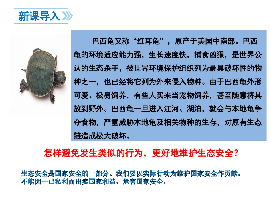 维护国家安全_第1页