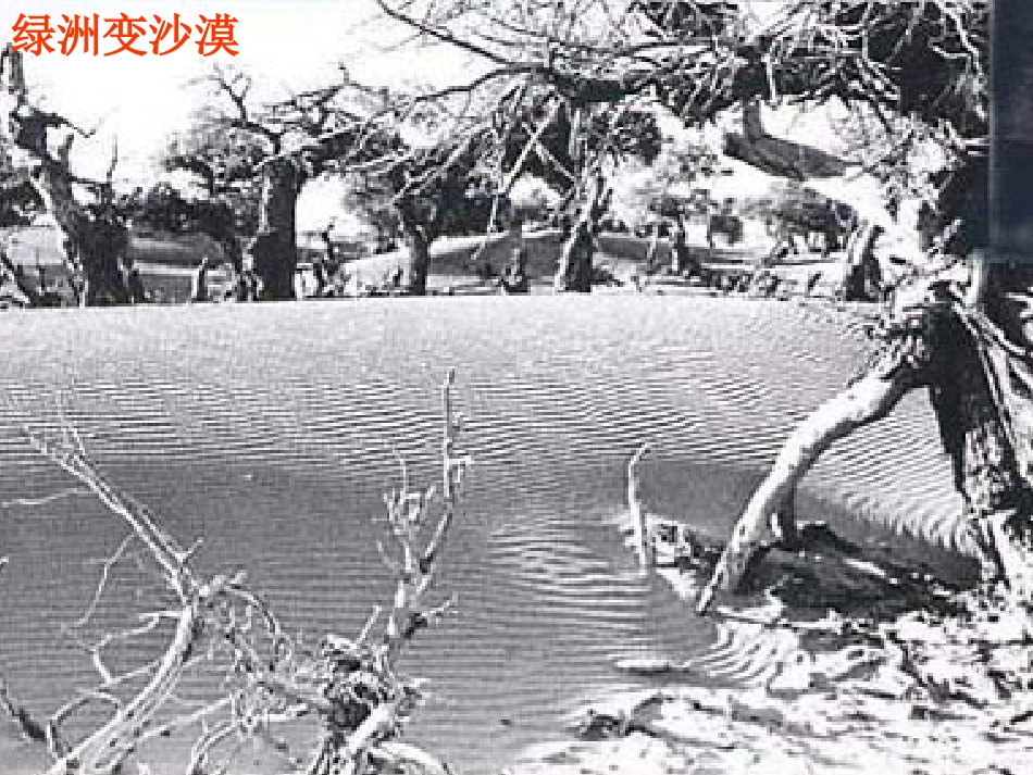 4土壤的保护-(3)_第3页