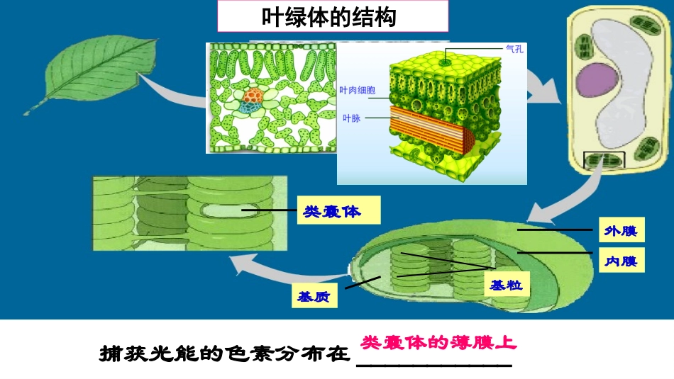 三光合作用与农业_第3页