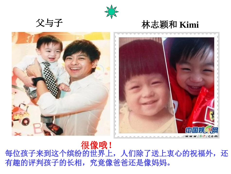 8相似与差异_第1页