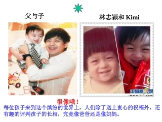 8相似与差异