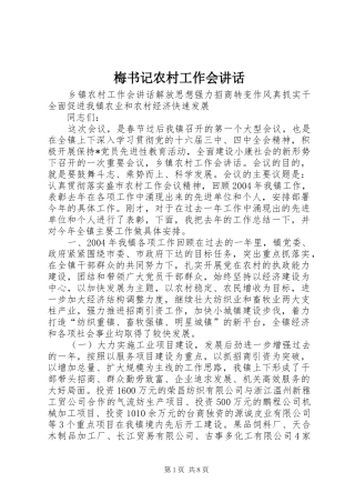 梅书记农村工作会讲话发言