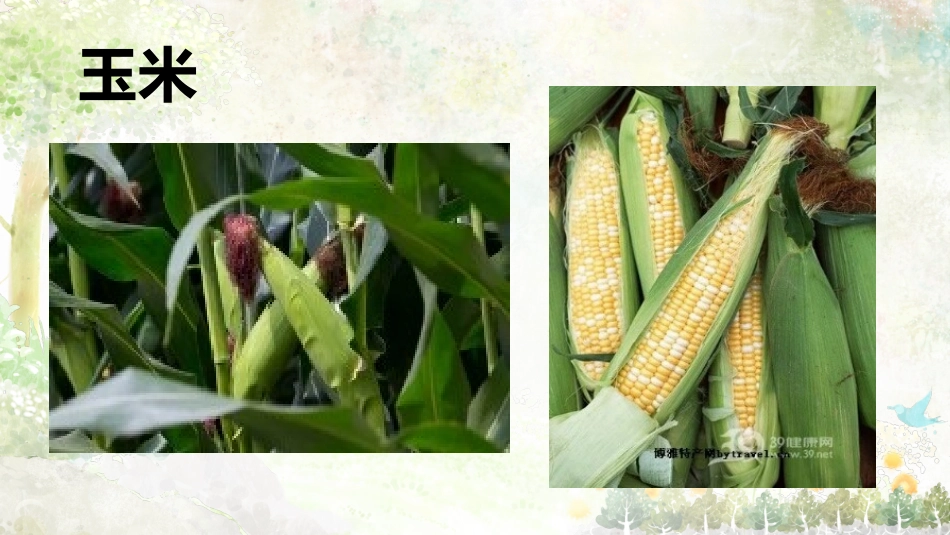 10.来之不易的粮食_第3页