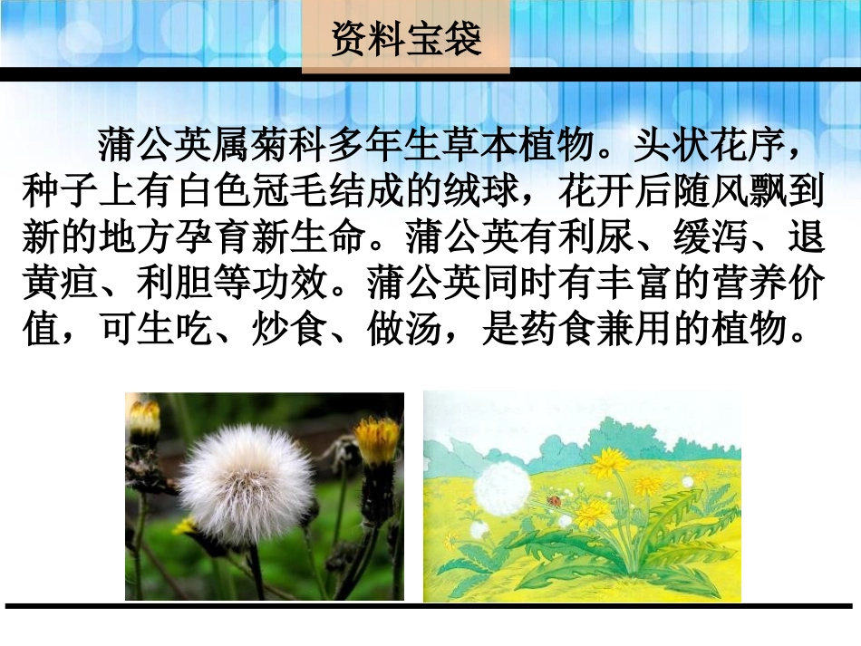②金色的草地_第3页