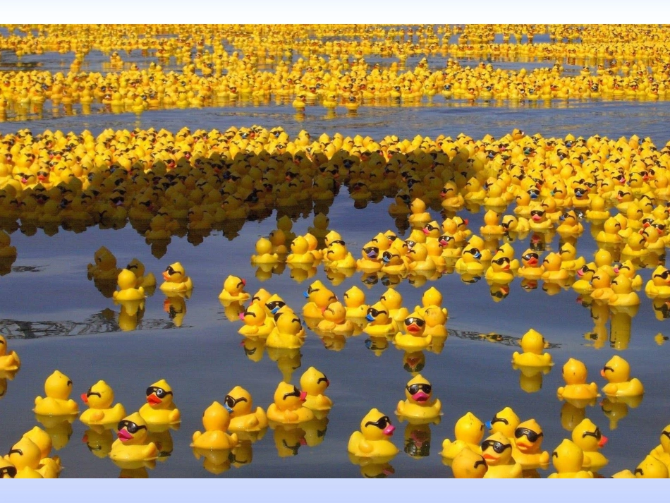 专栏：北印度洋季风洋流_第1页