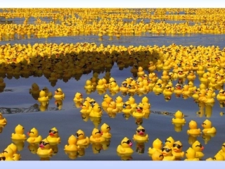 专栏：北印度洋季风洋流