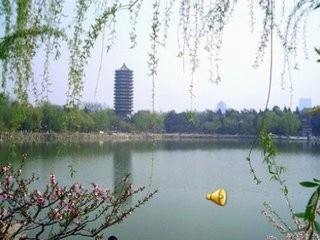 北京欢迎你课件