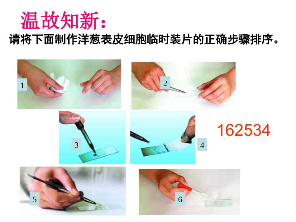 第三节观察动物细胞_第2页