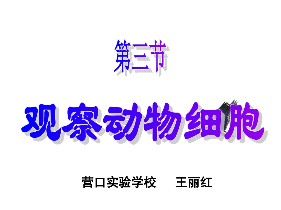 第三节观察动物细胞_第3页