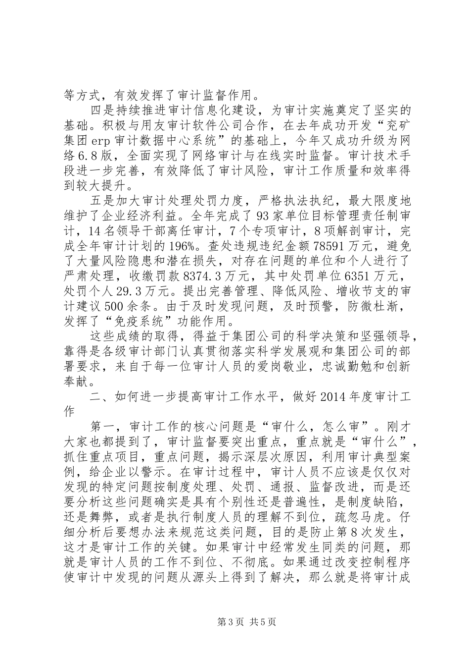 在集团公司XX年度审计工作座谈会的讲话发言_第3页