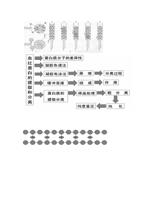 课题3-血红蛋白的提取和分离-(2)