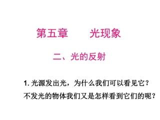 32光的反射