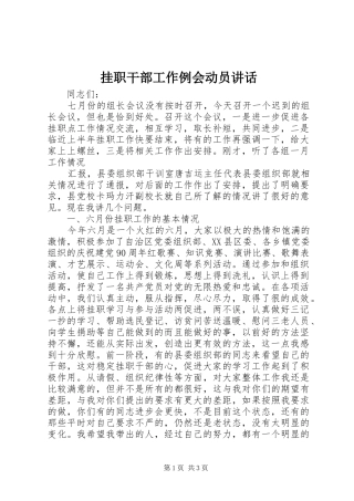 挂职干部工作例会动员讲话发言