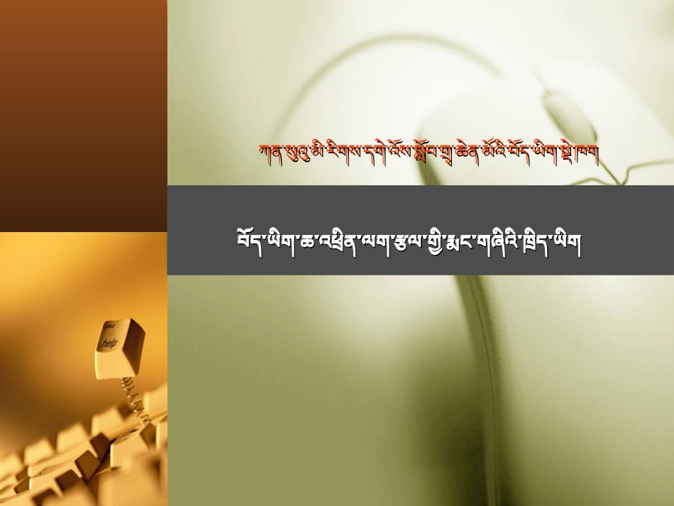 藏文信息01_第1页