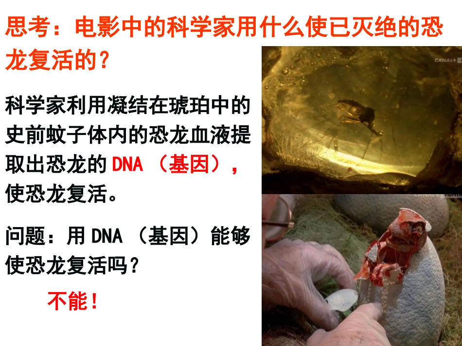 拓展视野-多利羊猜想_第2页