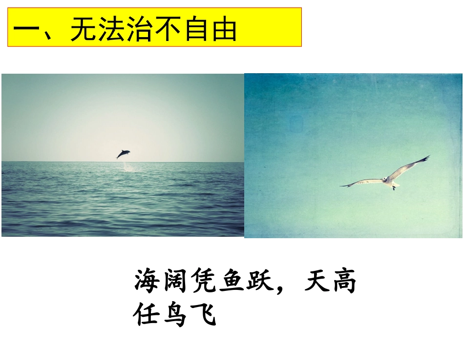 自由平等的真谛-(3)_第2页