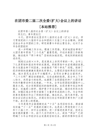 在团市委二届二次全委(扩大)会议上的讲话发言[本站推荐]