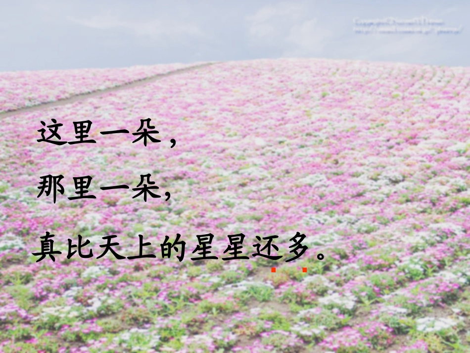 鲜花和星星3_第3页