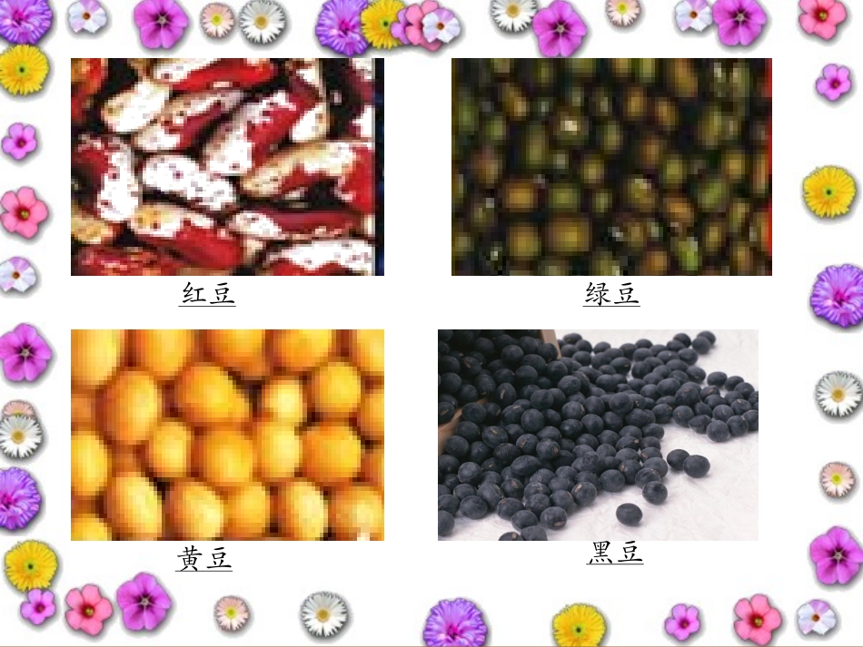 《豆儿圆》课件_第2页