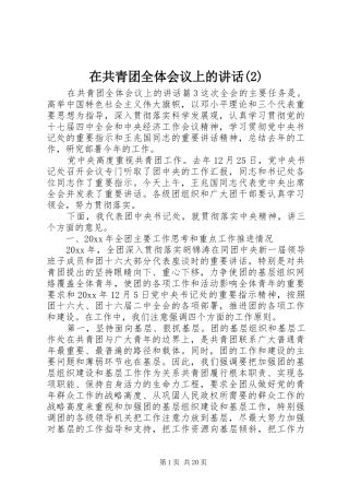 在共青团全体会议上的讲话发言