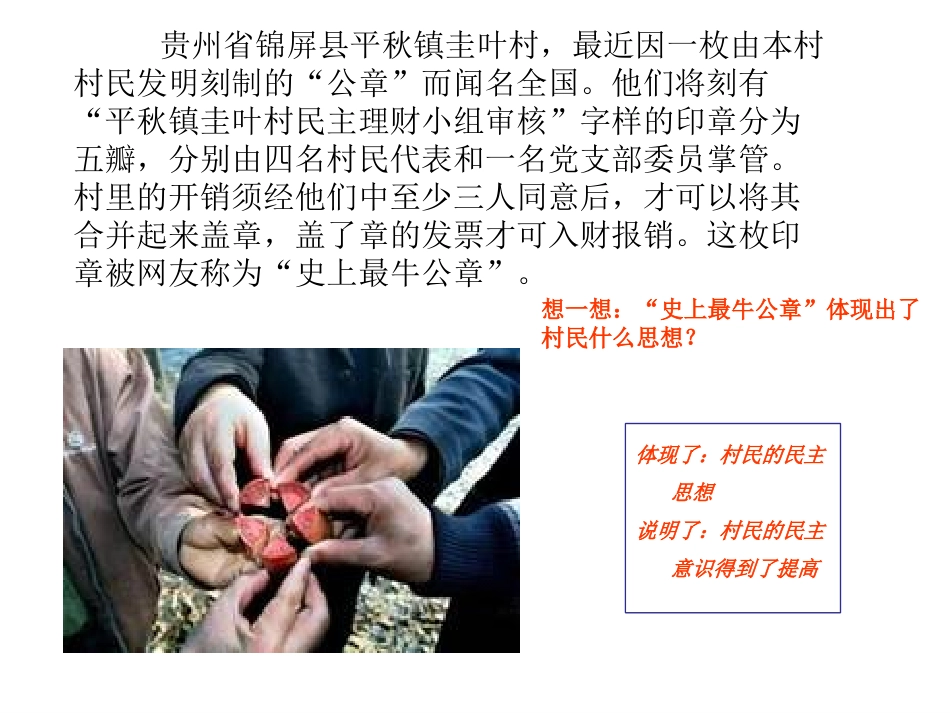 生活在民主国家-(2)_第2页