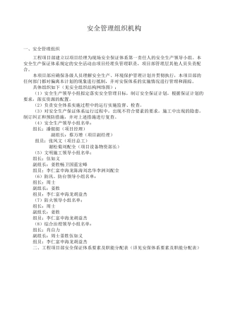 安全管理组织结构